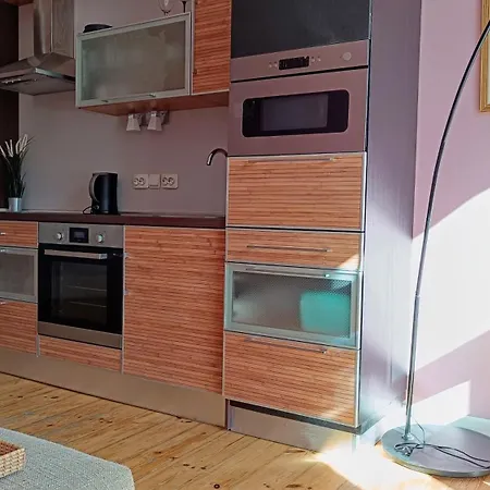 Appartement Julia Lacplesa Riga